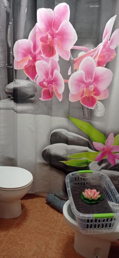 Apartment Avenida El Puente, 26 *